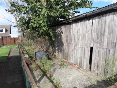 Picture 14